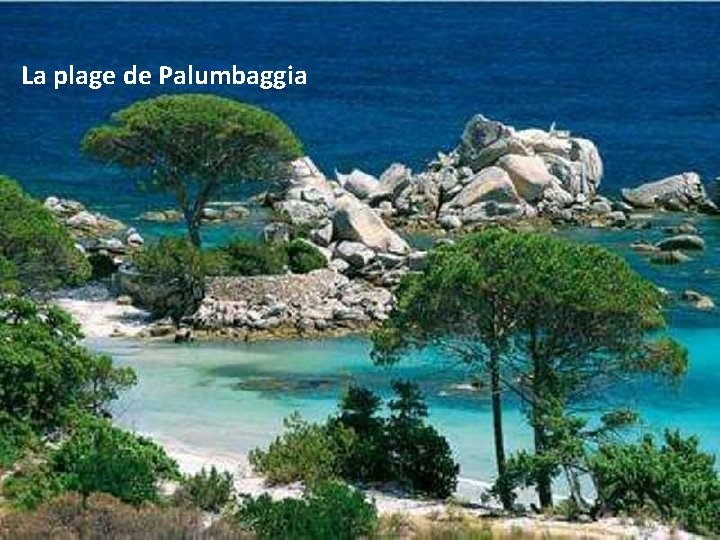 La plage de Palumbaggia 