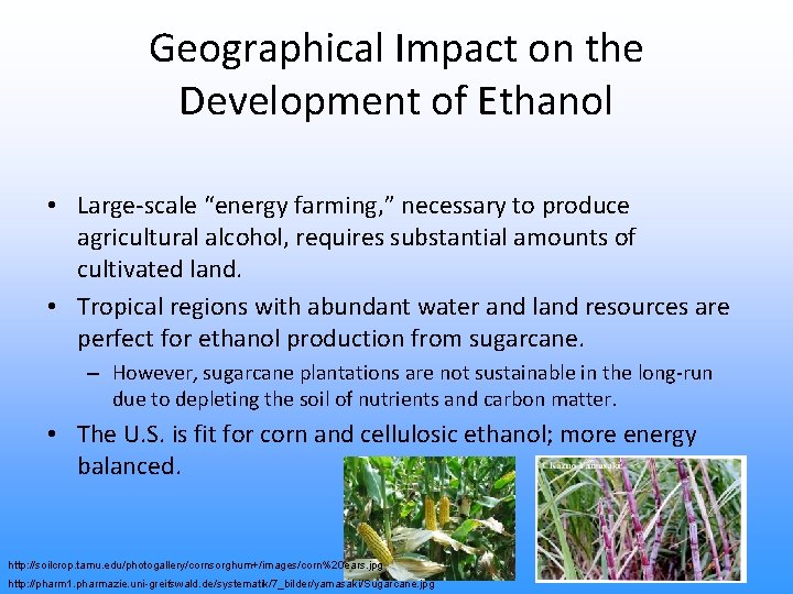 Geographical Impact on the Development of Ethanol • Large-scale “energy farming, ” necessary to