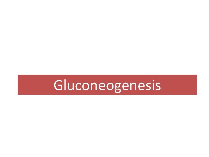 Gluconeogenesis 