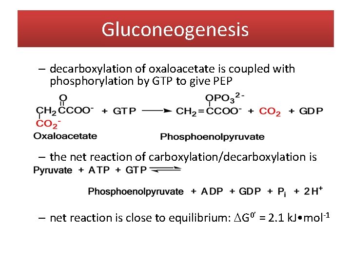 Gluconeogenesis – decarboxylation of oxaloacetate is coupled with phosphorylation by GTP to give PEP