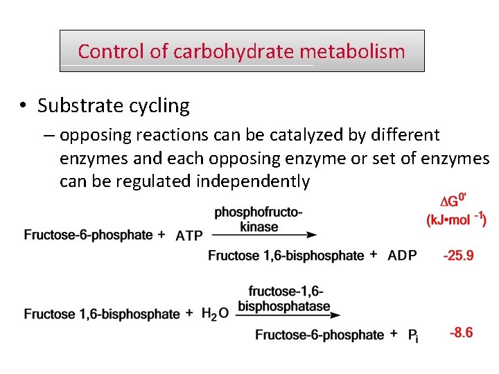 Control of carbohydrate metabolism • Substrate cycling – opposing reactions can be catalyzed by