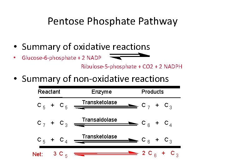 Pentose Phosphate Pathway • Summary of oxidative reactions • Glucose-6 -phosphate + 2 NADP