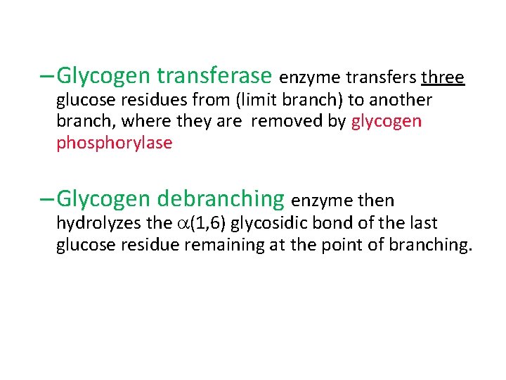 – Glycogen transferase enzyme transfers three glucose residues from (limit branch) to another branch,