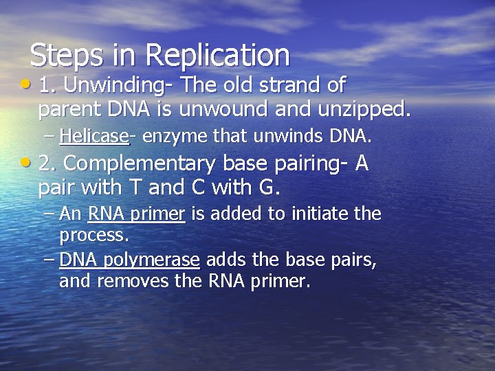 Steps in Replication • 1. Unwinding- The old strand of parent DNA is unwound