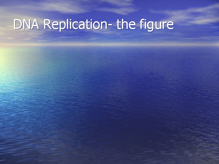 DNA Replication- the figure 