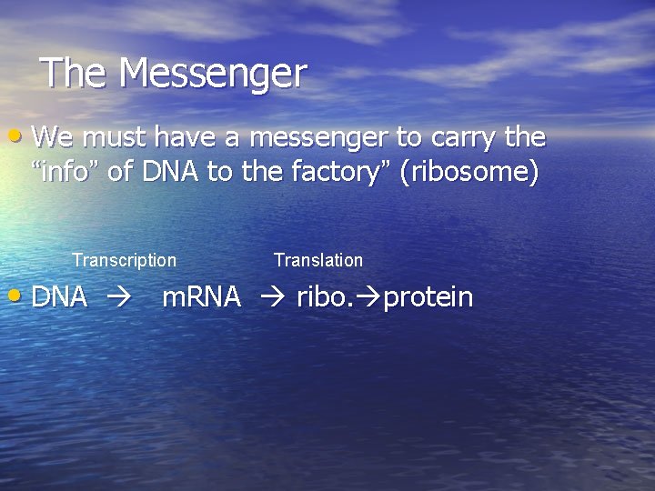 The Messenger • We must have a messenger to carry the “info” of DNA