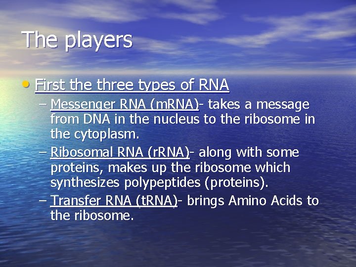 The players • First the three types of RNA – Messenger RNA (m. RNA)-