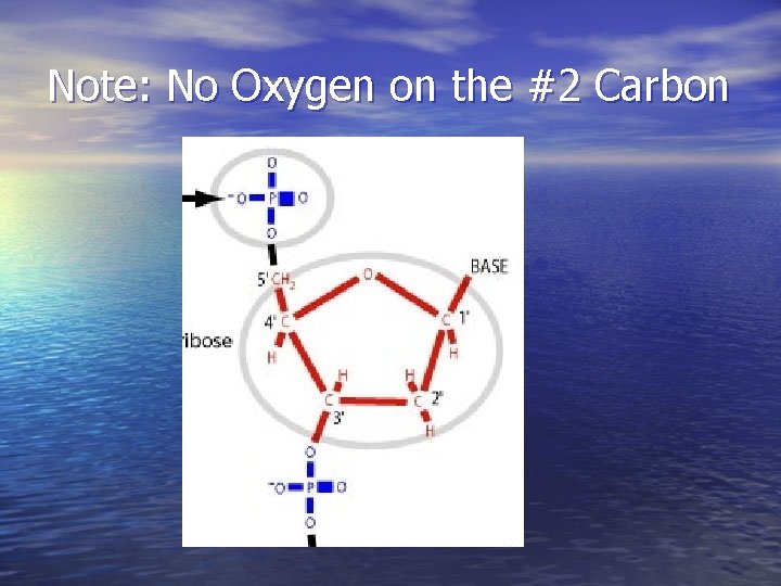 Note: No Oxygen on the #2 Carbon 