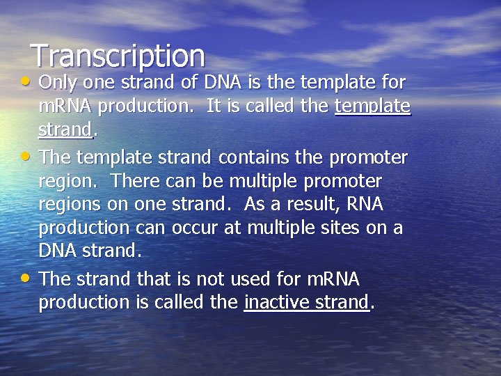 Transcription • Only one strand of DNA is the template for • • m.
