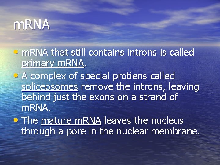 m. RNA • m. RNA that still contains introns is called primary m. RNA.