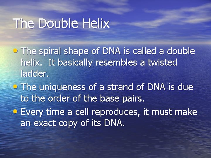 The Double Helix • The spiral shape of DNA is called a double helix.