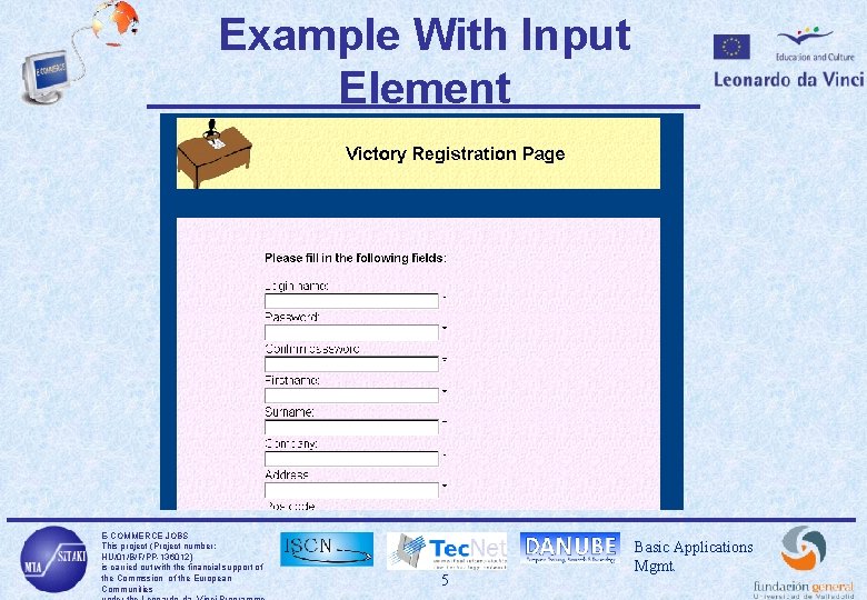 Example With Input Element E-COMMERCE JOBS This project (Project number: HU/01/B/F/PP-136012) is carried out