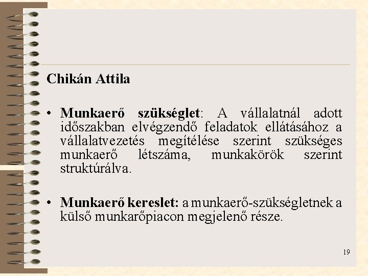 Chikán Attila • Munkaerő szükséglet: A vállalatnál adott időszakban elvégzendő feladatok ellátásához a vállalatvezetés