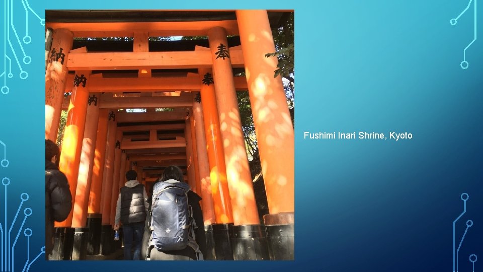 Fushimi Inari Shrine, Kyoto 