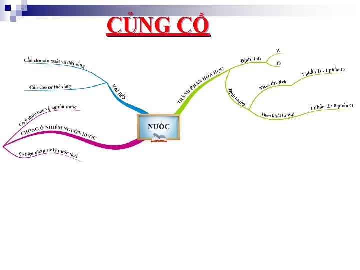 CỦNG CỐ 