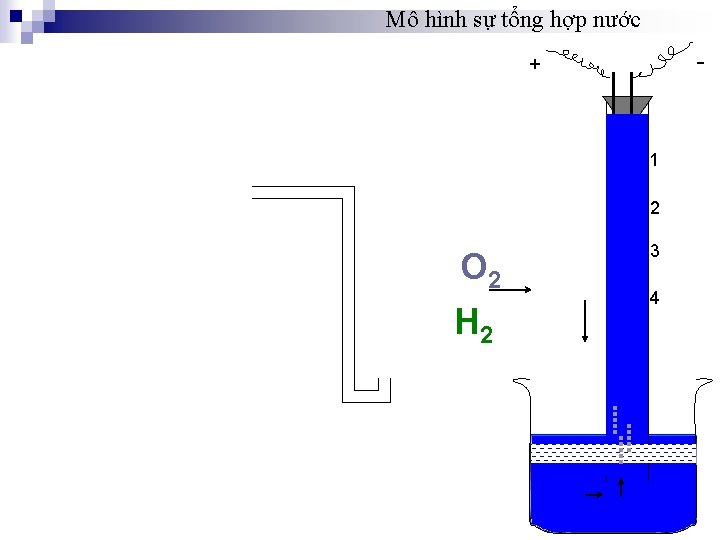 Mô hình sự tổng hợp nước + 1 2 O 2 H 2 3