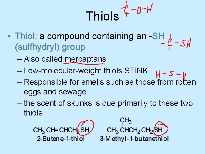 Thiols • Thiol: a compound containing an -SH (sulfhydryl) group – Also called mercaptans