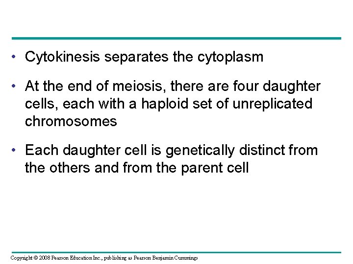  • Cytokinesis separates the cytoplasm • At the end of meiosis, there are