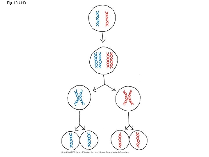 Fig. 13 -UN 3 