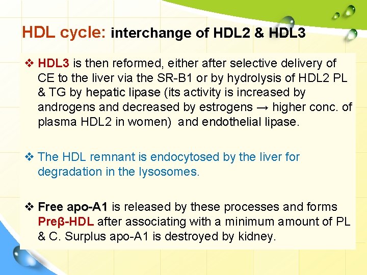 HDL cycle: interchange of HDL 2 & HDL 3 v HDL 3 is then