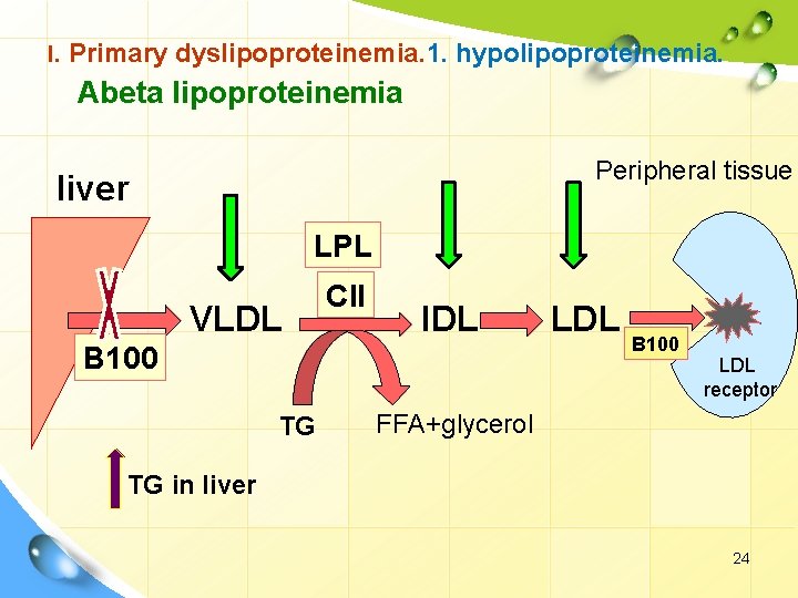 I. Primary dyslipoproteinemia. 1. hypolipoproteinemia. Abeta lipoproteinemia Peripheral tissue liver LPL VLDL CII IDL