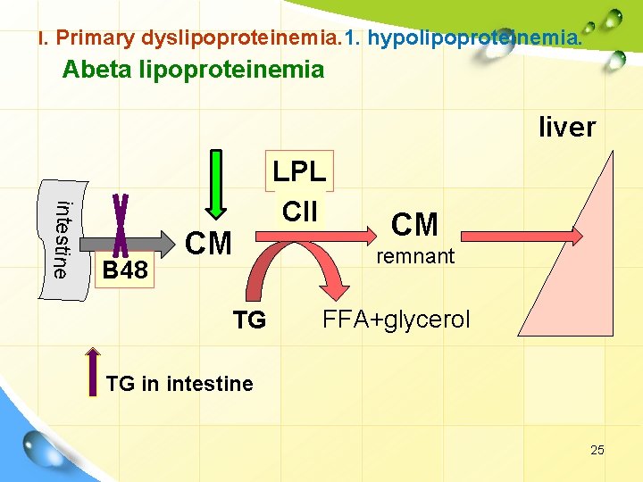 I. Primary dyslipoproteinemia. 1. hypolipoproteinemia. Abeta lipoproteinemia liver intestine B 48 CM TG LPL