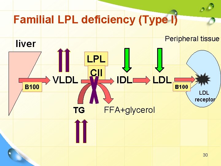 Familial LPL deficiency (Type I) Peripheral tissue liver B 100 VLDL TG LPL CII