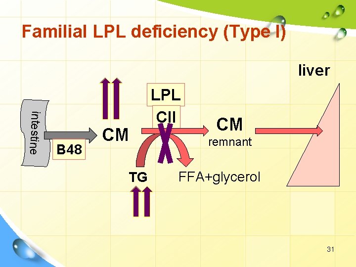 Familial LPL deficiency (Type I) liver intestine B 48 CM TG LPL CII CM