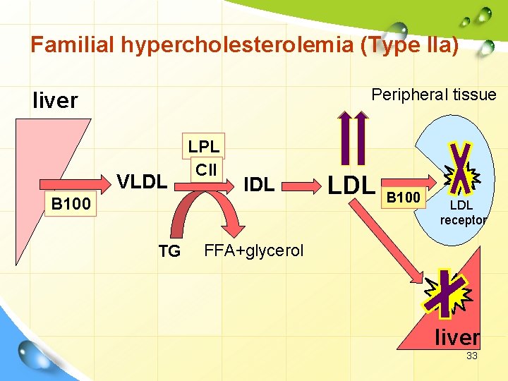 Familial hypercholesterolemia (Type IIa) Peripheral tissue liver VLDL B 100 TG LPL CII IDL