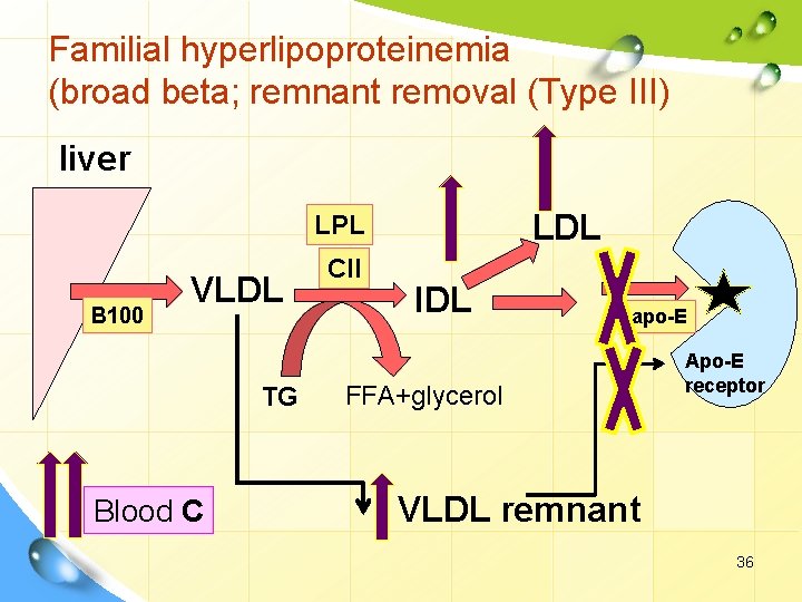 Familial hyperlipoproteinemia (broad beta; remnant removal (Type III) liver LDL LPL B 100 VLDL