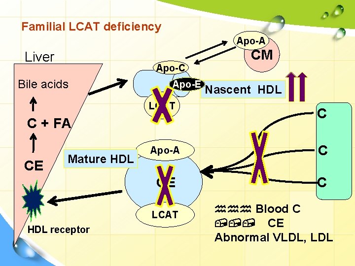 Familial LCAT deficiency Apo-A CM Liver Apo-C Bile acids Apo-E LCAT C + FA