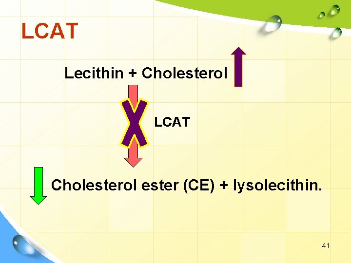 LCAT Lecithin + Cholesterol LCAT Cholesterol ester (CE) + lysolecithin. 41 