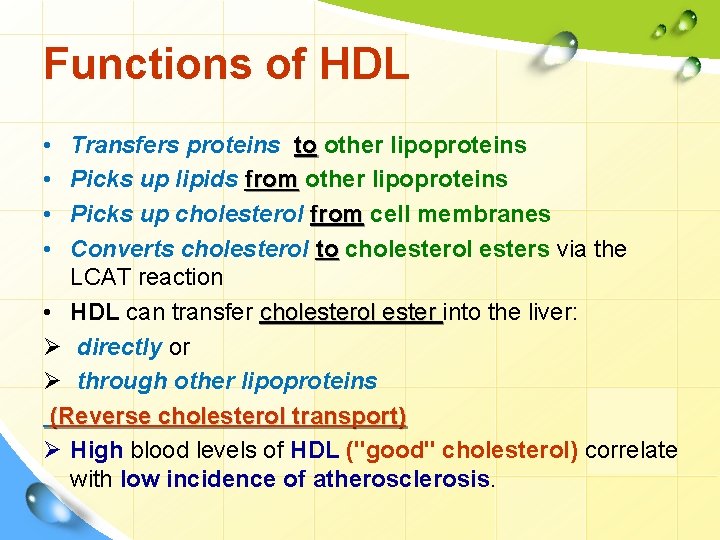Functions of HDL • • Transfers proteins to other lipoproteins Picks up lipids from