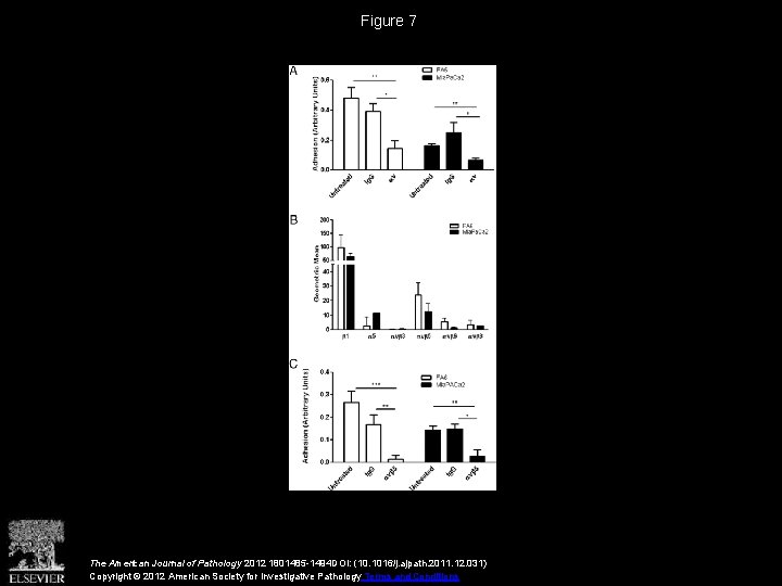 Figure 7 The American Journal of Pathology 2012 1801485 -1494 DOI: (10. 1016/j. ajpath.