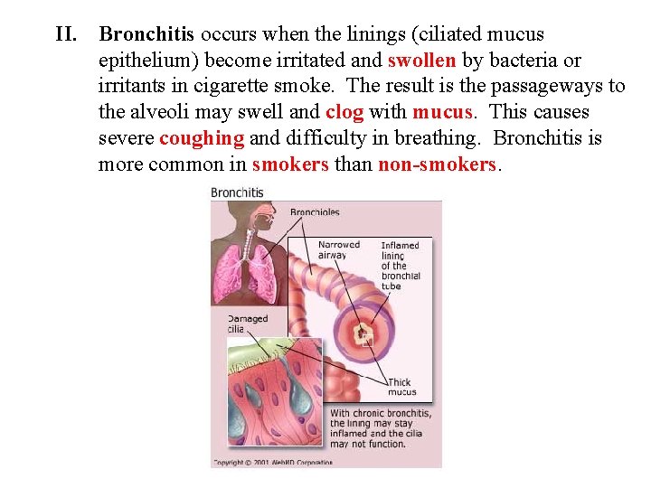 II. Bronchitis occurs when the linings (ciliated mucus epithelium) become irritated and swollen by