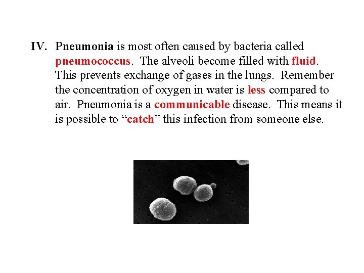 IV. Pneumonia is most often caused by bacteria called pneumococcus. The alveoli become filled
