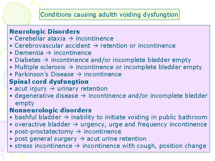 Conditions causing adulth voiding dysfungtion Neurologic Disorders • Cerebellar ataxia incontinence • Cerebrovascular accident