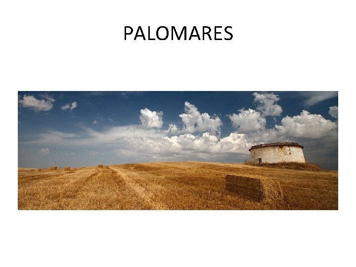 PALOMARES 