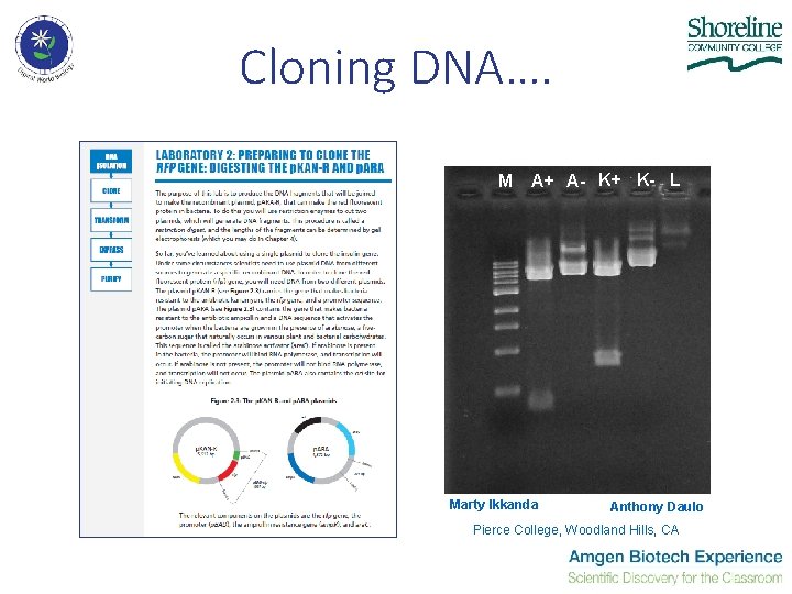 Cloning DNA…. M A+ A- K+ K- L Marty Ikkanda Anthony Daulo Pierce College,