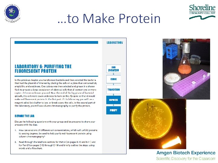 …to Make Protein …to Make Protein
