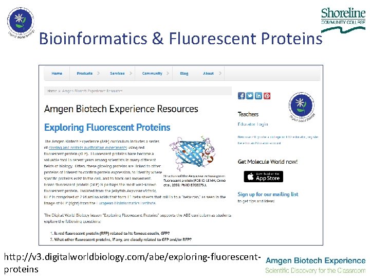 Bioinformatics & Fluorescent Proteins http: //v 3. digitalworldbiology. com/abe/exploring-fluorescentproteins 