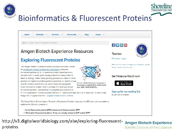 Bioinformatics & Fluorescent Proteins http: //v 3. digitalworldbiology. com/abe/exploring-fluorescentproteins Bioinformatics & Fluorescent Proteins http: //v 3. digitalworldbiology. com/abe/exploring-fluorescentproteins