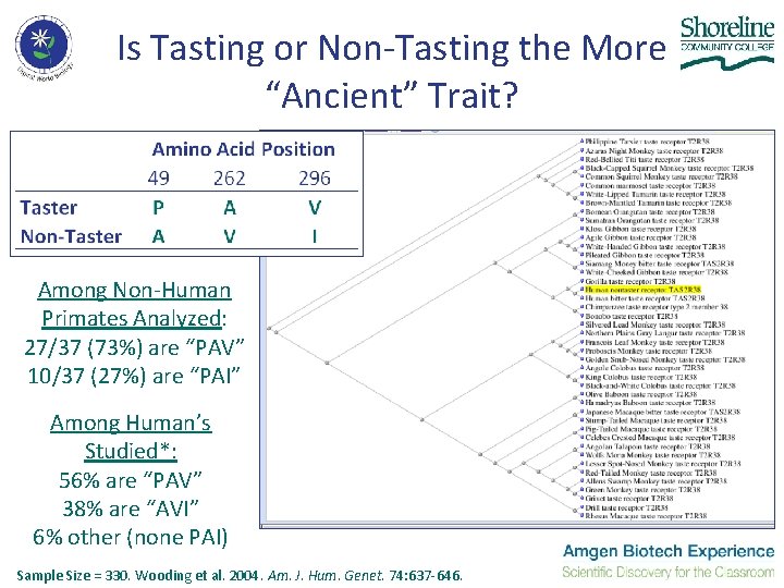Is Tasting or Non-Tasting the More “Ancient” Trait? Among Non-Human Primates Analyzed: 27/37 (73%)
