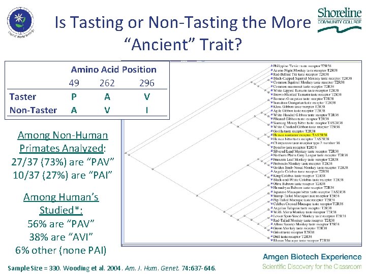 Is Tasting or Non-Tasting the More “Ancient” Trait? Among Non-Human Primates Analyzed: 27/37 (73%) Is Tasting or Non-Tasting the More “Ancient” Trait? Among Non-Human Primates Analyzed: 27/37 (73%)