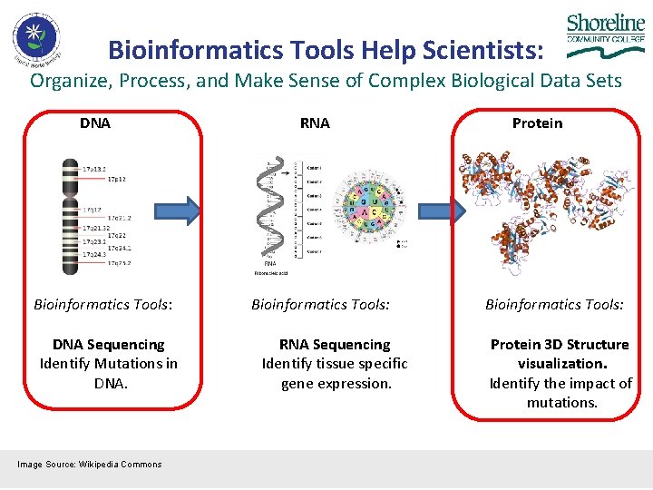 Bioinformatics Tools Help Scientists: Organize, Process, and Make Sense of Complex Biological Data Sets Bioinformatics Tools Help Scientists: Organize, Process, and Make Sense of Complex Biological Data Sets