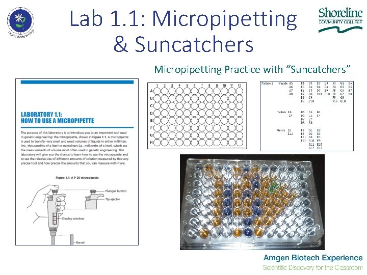 Lab 1. 1: Micropipetting & Suncatchers Micropipetting Practice with “Suncatchers” Lab 1. 1: Micropipetting & Suncatchers Micropipetting Practice with “Suncatchers”