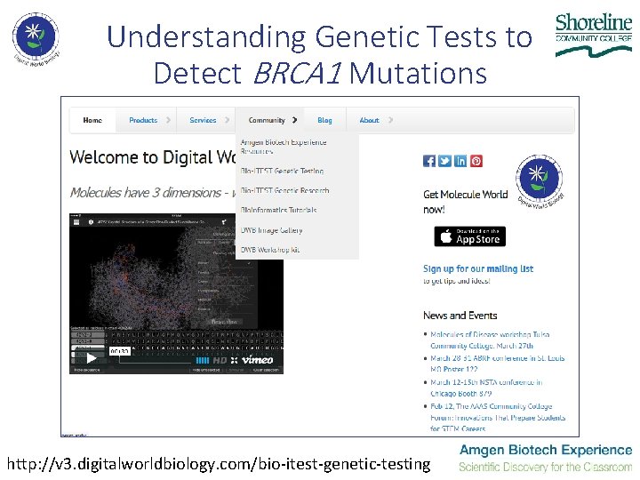 Understanding Genetic Tests to Detect BRCA 1 Mutations http: //v 3. digitalworldbiology. com/bio-itest-genetic-testing Understanding Genetic Tests to Detect BRCA 1 Mutations http: //v 3. digitalworldbiology. com/bio-itest-genetic-testing