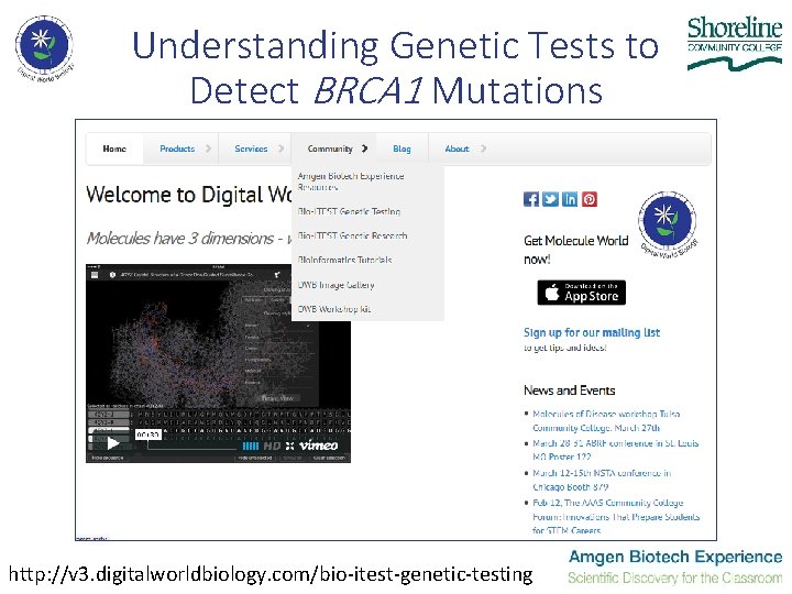 Understanding Genetic Tests to Detect BRCA 1 Mutations http: //v 3. digitalworldbiology. com/bio-itest-genetic-testing 