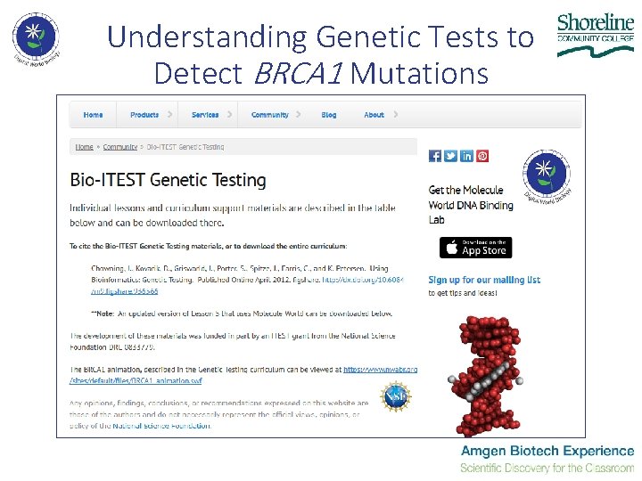 Understanding Genetic Tests to Detect BRCA 1 Mutations 
