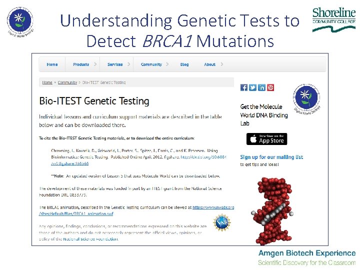 Understanding Genetic Tests to Detect BRCA 1 Mutations Understanding Genetic Tests to Detect BRCA 1 Mutations